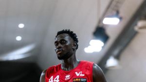 Mabor fermo ai box. Lesione al legamento del ginocchio