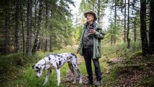 Rustad trengerdjevelens advokat
