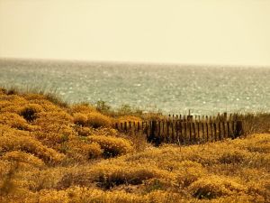 À quoi ressemble l’amour après trente ans de vie à deux ?
