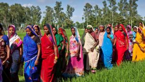 UPITS: Women's power - From village to global