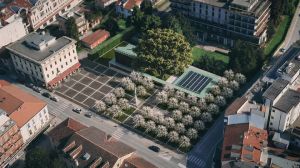 Abano Terme, piazza Caduti cambia volto: 38 nuovi alberi e via le palme
