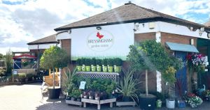 Opening date revealed for Norfolk garden centre's Christmas wonderland