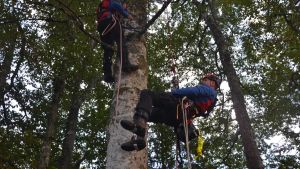 Bergretter proben im Wald, wie Gleitschirmflieger aus Bäumen gerettet werden können
