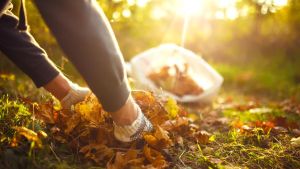 L’’estate non molla: sole e 28-29 gradi fino ai primi di ottobre. Poi la svolta in Toscana, cosa accade