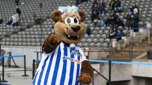 Nur kein Neid auf Olympia oder Oasis: Liebe Münchner, dafür haben wir Hertha BSC!