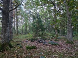 La Velleskogen og Eikfolket være i fred!