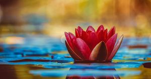 Do You Have Spiritual Empathy?
