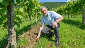 Frane sulle colline del Prosecco, oltre 300 punti critici: «Servono priorità e interventi rapidi»
