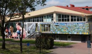Ferrara, legionella negli impianti sportivi: anche il PalaPalestre positivo. Stop alle attività