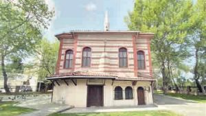 Bataklık çiçeği