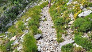 “La Via Vandelli“. Raccolta fondi su internet