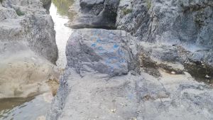 Scatta la linea dura in Val Rosandra: via ai controlli sugli escursionisti