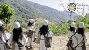 Los bemoles de la línea negra