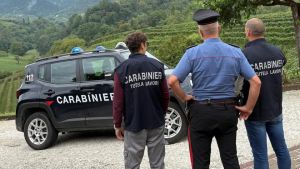 Vendemmia, controlli dei carabinieri nel Trevigiano: sei lavoratori in nero e tre aziende sospese