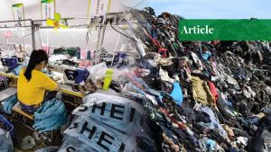 SHEIN: The Hidden Cost of Ultra-Fast Fashion