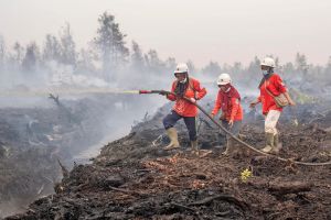 Why Have Indonesia’s Fires Gotten So Bad?