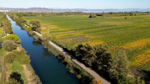 No all’agrivoltaico: opposizione divisa a Staranzano
