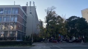 KRIK: Viši sud u Novom Sadu nije zvanično obavešten o pomilovanju 12 aktivista