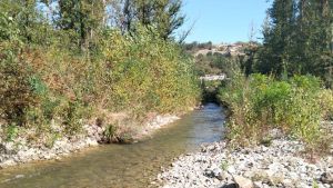 Allarme siccità nel fiume Panaro: «Pesci morti e l’agricoltura trema»