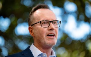 Shoebridge targets taking the Greens from reforming Labor to replacing it