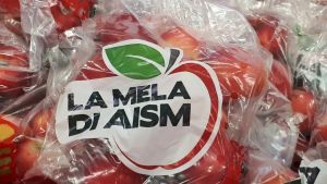 A Ruvo “la mela di Aism” contro la sclerosi multipla