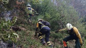 No basta con decir que los incendios se apagan en invierno