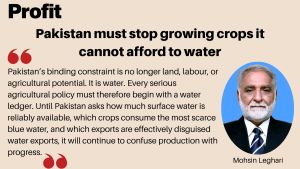 Pakistan must stop growing crops it cannot afford to water