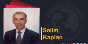 Sen benim kralım değilsin