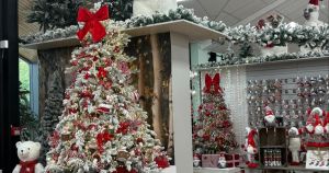 Christmas arrives early as much-loved garden centre unveils festive wonderland