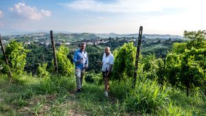 Vigna Solenga: l’anima del Buttafuoco Storico, orgoglio dell’Oltrepò Pavese