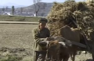 Swiss Aid Worker's Rare Footage Reveals Hidden Life Inside North Korea From Famine Years to Pyongyang Cafes