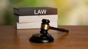 Indian-origin truck driver jailed for 6 years in Canada, after killing 2