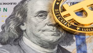 Even seashells would make a better national reserve than Bitcoin