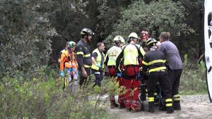 Incidente sul lavoro in pineta, operaio ferito da un grosso ramo. Ricoverato al Cto di Firenze: è grave