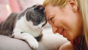 Cani e gatti sepolti accanto ai padroni, “sempre più Comuni modificano i regolamenti” /