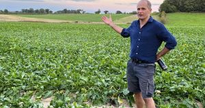 Industry turmoil may force farm to reconsider growing sugar beet after 80 years