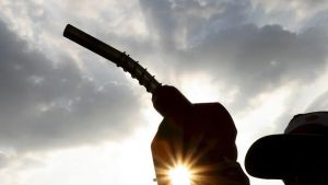 Perché la benzina costa così tanto? Metà sono tasse: come si forma il prezzo alla pompa