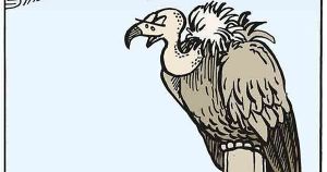 La opinión del buitre