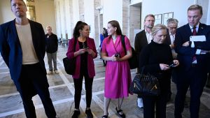 Den som skrämmer riksdagsledamöter angriper oss alla