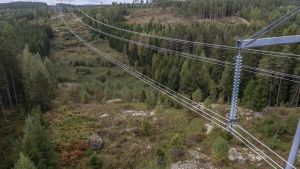 Maanomistus | Lukijalta: Sähkölinjan haitasta on maksettava oikeudenmukainen korvaus