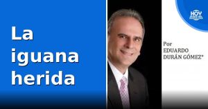 La iguana herida