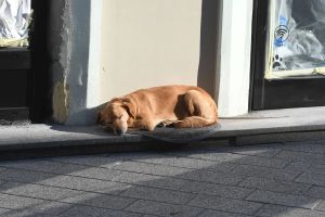 Vreme danas pretežno sunčano i toplo