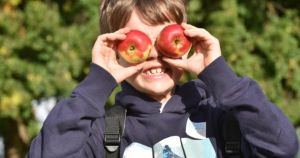 Core blimey! Apple Day returns to Norfolk museum for 35th year