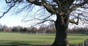 Park toilets to close for refurb
