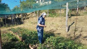 Alla tavola della suora eremita, vive da sola da 11 anni e ospita chi è in cerca di silenzio