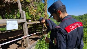 Legato alla catena, cane muore asfissiato Denunciato il proprietario