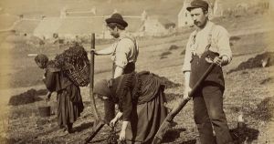 The Highland Potato Famine: Scotland's forgotten national tragedy
