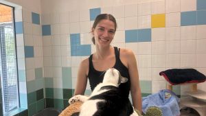 Aus dem Tierheim-Alltag: Unzertrennliche Kater, tapfere Hundesenioren und das Drama um Kätzchen