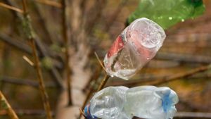 Ne bacajte plastične flaše: Ovaj jednostavan trik može da zaštiti mlade voćke tokom zime