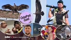 İstanbul semalarında atmaca, kartal, akbaba: OdaPati Alper Tüydeş'e sordu